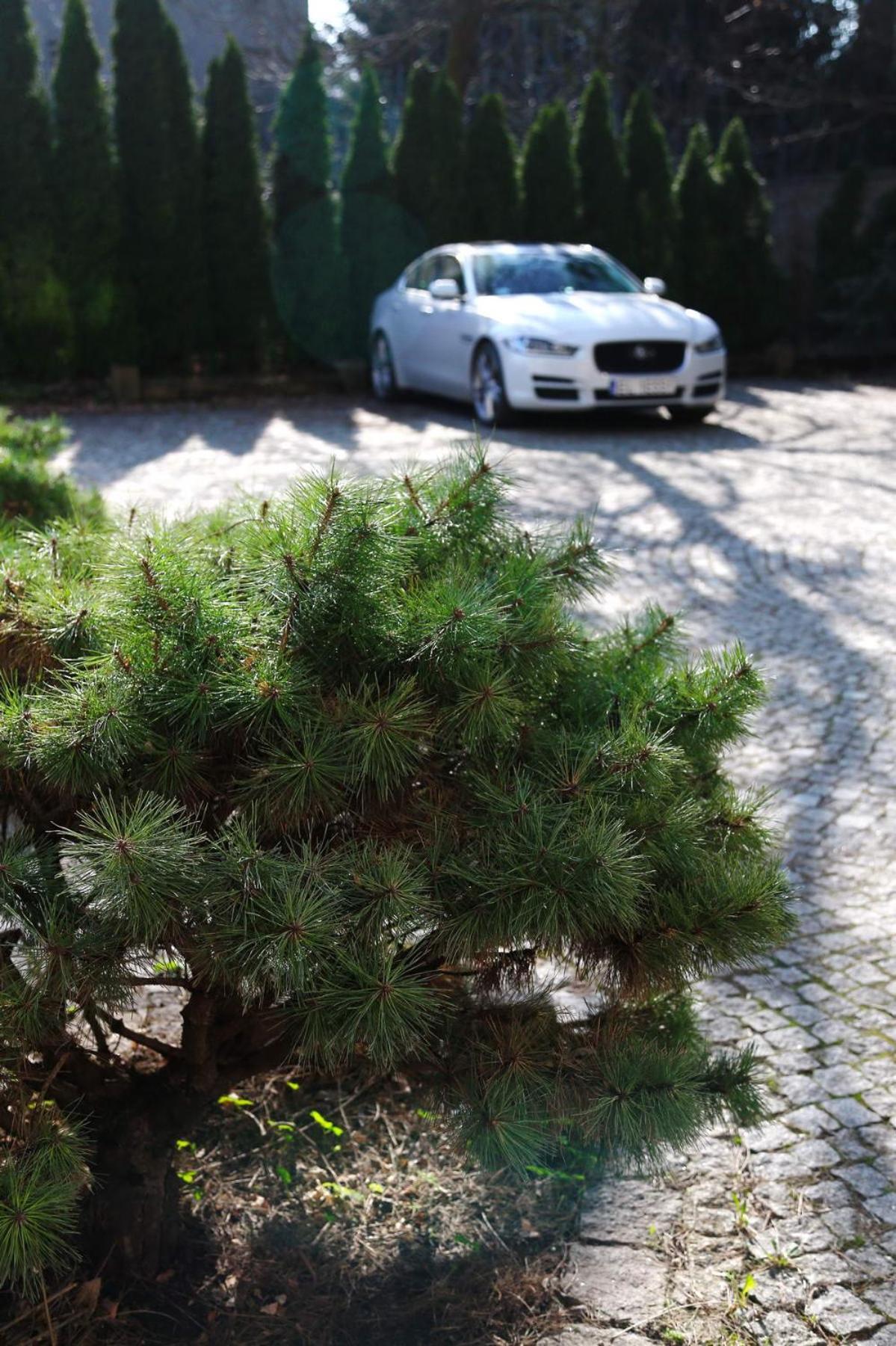 Apartment Manufaktura Bakery Prywatna Kamienica Parking Strzezony Dostep Na Kod